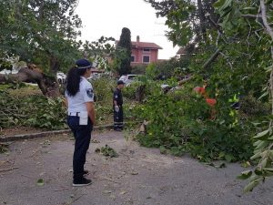 123A9F0C-52C9-4C12-9B6E-1F86D90510E6