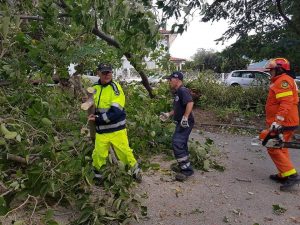 B6F51D77-B422-45FB-AF29-69D8D87670E6