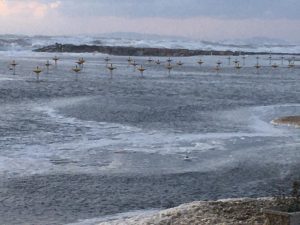 CCD0B95A-4083-4302-ACAE-5EFB0B73D5DC