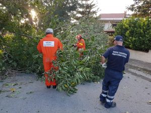 F5A56664-1263-483D-957F-8F92ECD14E61