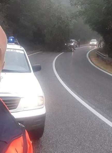 Albero caduto sulla Braccianese: intervento di Vigili del fuoco,  Prociv e carabinieri