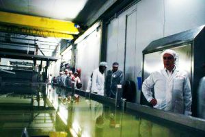 Gomma Plastica, il fatturato del 2022 cresce del 10% e sfiora il 26 miliardi