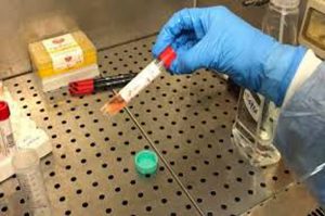 Coronavirus, 60 nuovi casi nella Tuscia, uno a Tarquinia e uno a Montalto