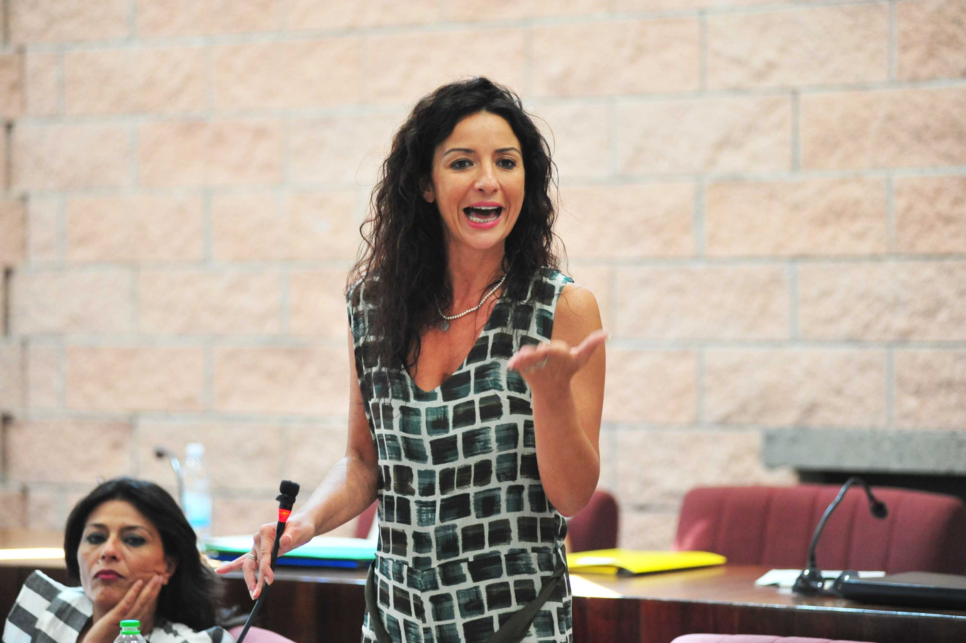 Pincio, Morbidelli passa al Gruppo misto