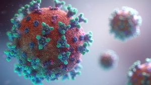 Coronavirus, 24 guariti tra Cerveteri e Ladispoli