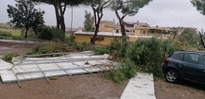 interventi_cerveteri_vento10