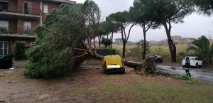 interventi_cerveteri_vento11