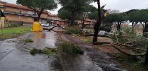 interventi_cerveteri_vento12