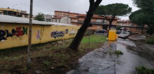 interventi_cerveteri_vento13