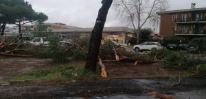 interventi_cerveteri_vento16