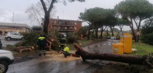 interventi_cerveteri_vento21