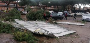 interventi_cerveteri_vento22