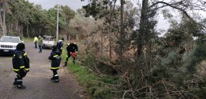 interventi_cerveteri_vento6