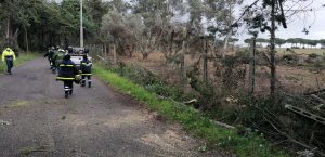 interventi_cerveteri_vento7