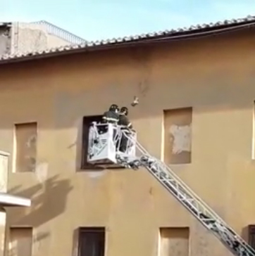 Piccione salvato dai vigili del fuoco alle carcerette