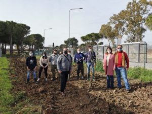 Olitar dona al Cardarelli di Tarquinia, sezione Agraria, 15 piante di Ulivo