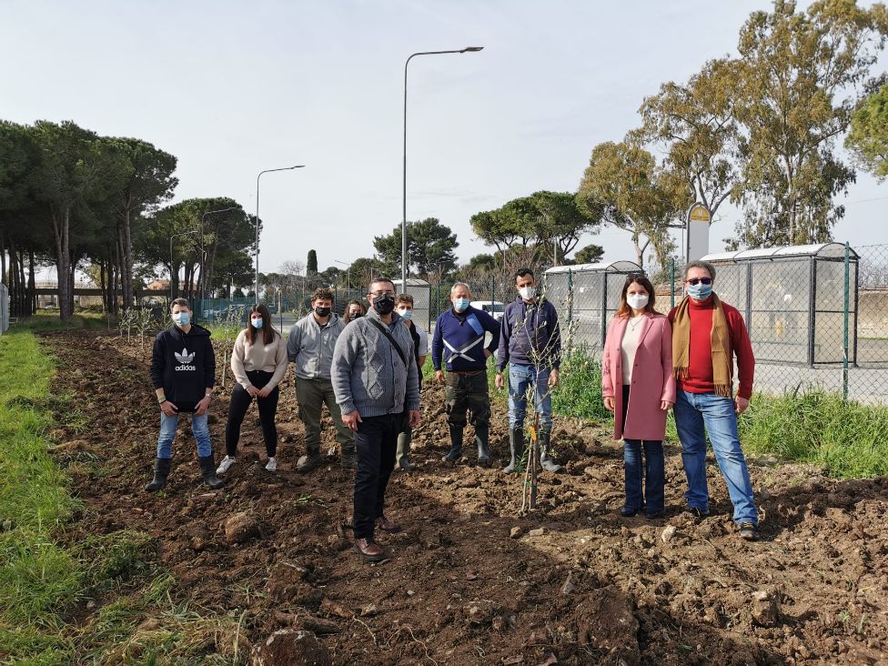 Olitar dona al Cardarelli di Tarquinia, sezione Agraria, 15 piante di Ulivo