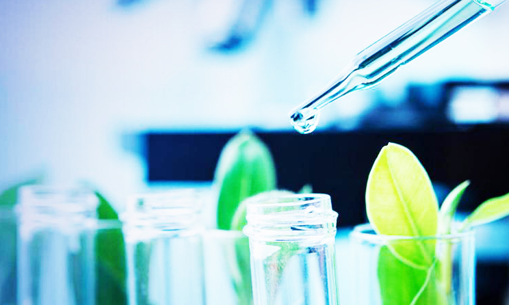 Intesa San Paolo, con BioInItaly 2021 call per startup innovative