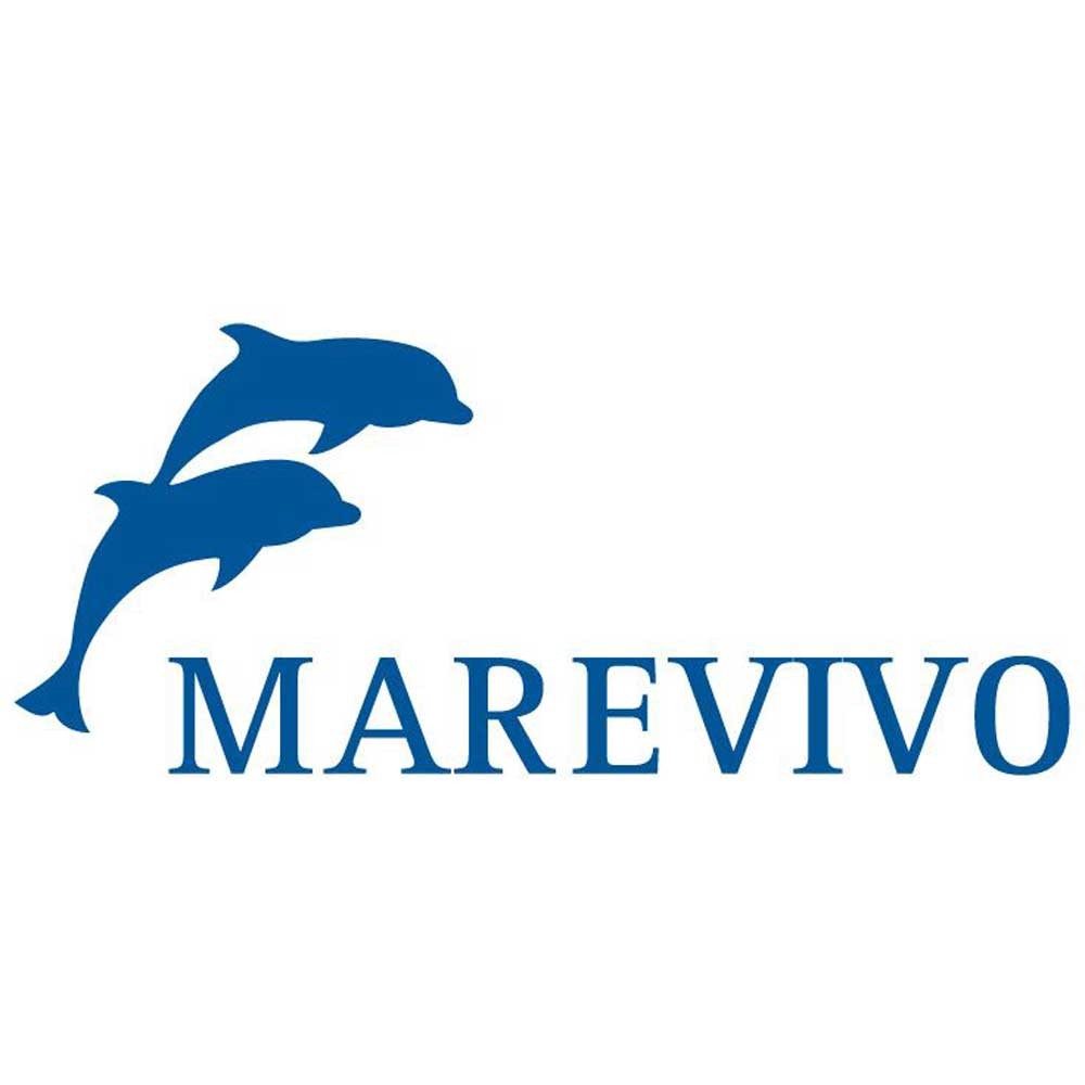 Marevivo, c’è anche Civitavecchia tra le tappe di ”Nauticiinblu”