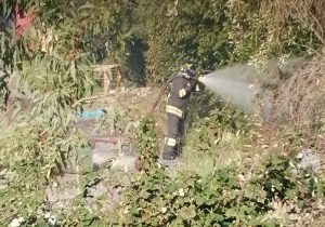 Incendio sulla Braccianese Claudia: intervento dei Vigili del fuoco