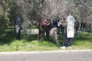 Befani e Moioli: «Plauso agli studenti e alla famiglia Scibilia»