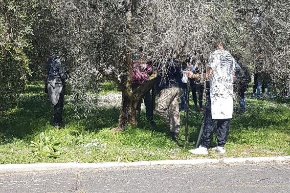 Befani e Moioli: «Plauso agli studenti e alla famiglia Scibilia»