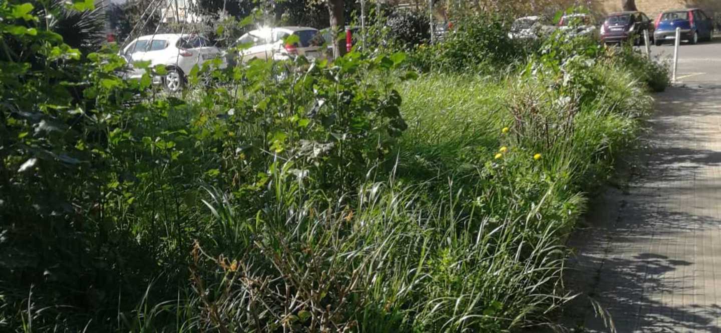 Incuria e degrado in via Sabatini: i residenti chiedono un intervento