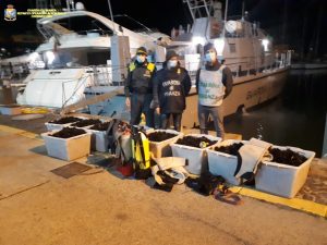 Operazione ”Dark Sea”: pescatori di frodo nella rete della stazione navale della Gdf di Civitavecchia