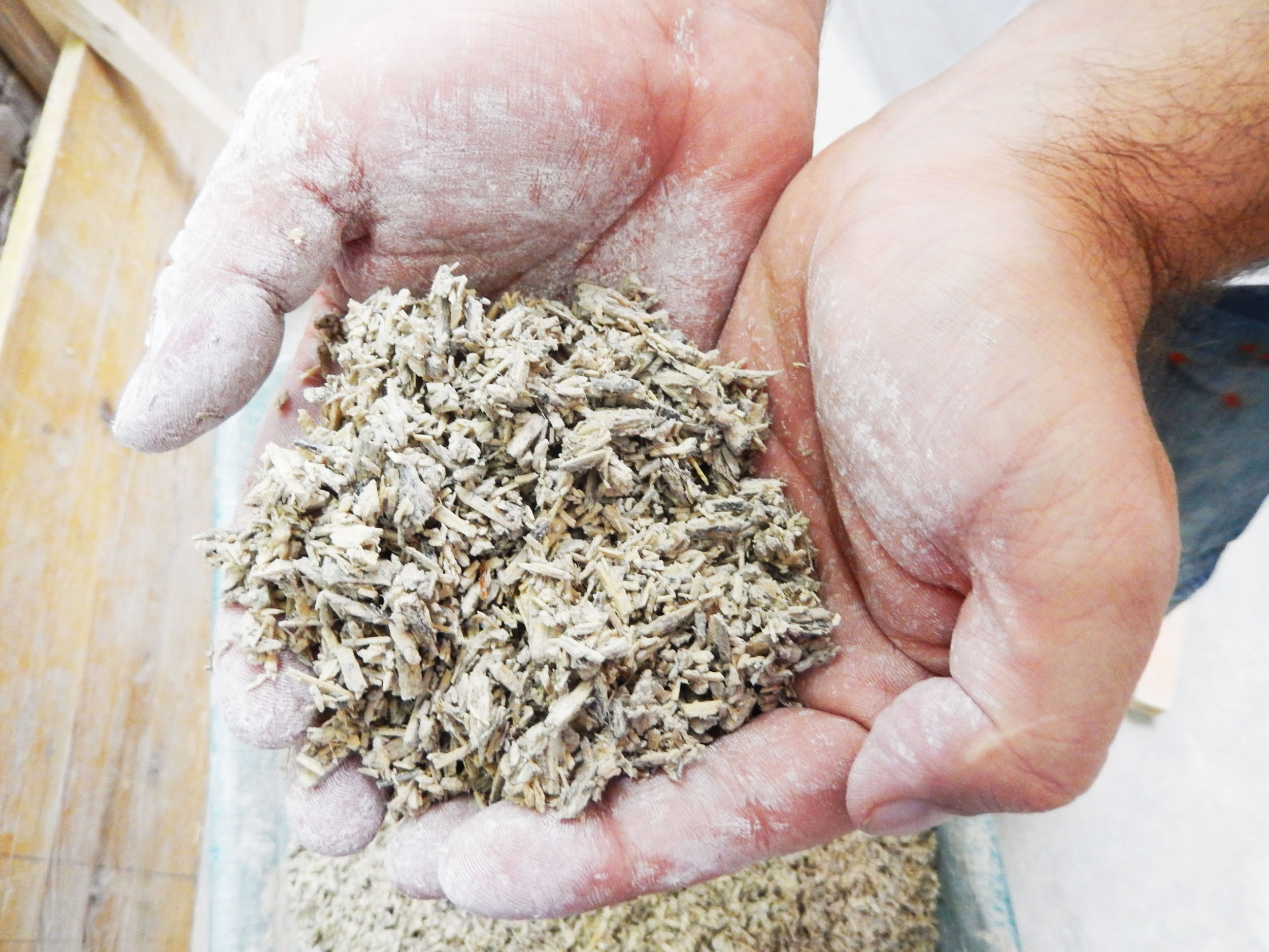 Canapa ed i suoi mille utilizzi: dalla cucina al benessere, fino all’edilizia