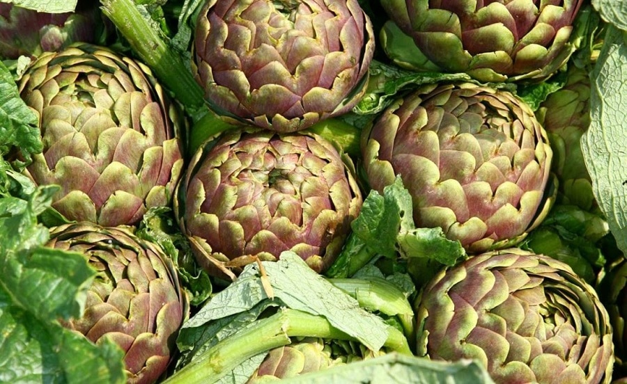 Agricoltura, bando regionale da 1,5 milioni di euro per chi promuove i prodotti enogastronomici del Lazio