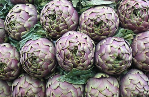 Carciofo romanesco, torna la sagra a Ladispoli dal 14 al 16 aprile