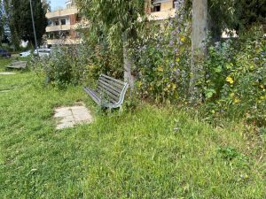 Viterbo – Sfalcio dell’erba, si procede in ogni quartiere. Attenzione ai divieti