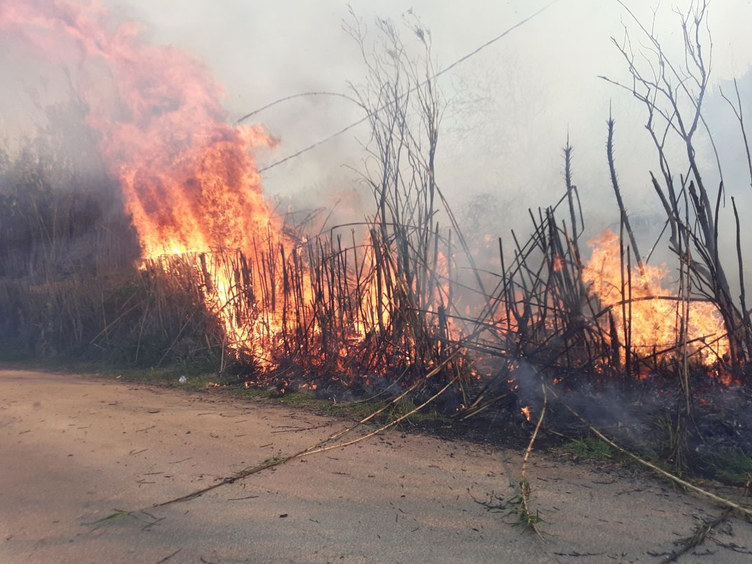 Paura a Cerveteri, bruciano le sterpaglie ma le fiamme diventano altissime: arriva la Protezione Civile e mette in sicurezza il rogo