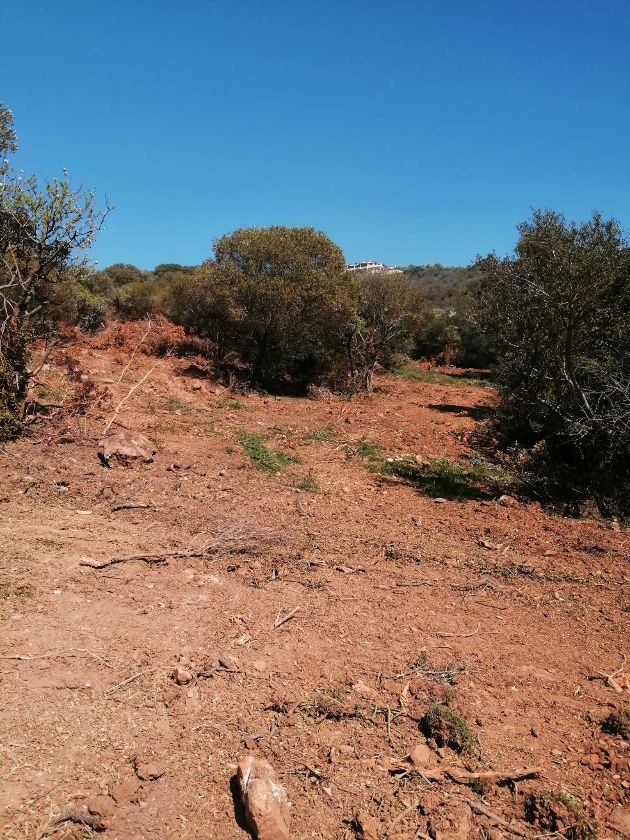 Valle del Marangone, finito il sopralluogo della Lipu: ”No a interventi impattanti”