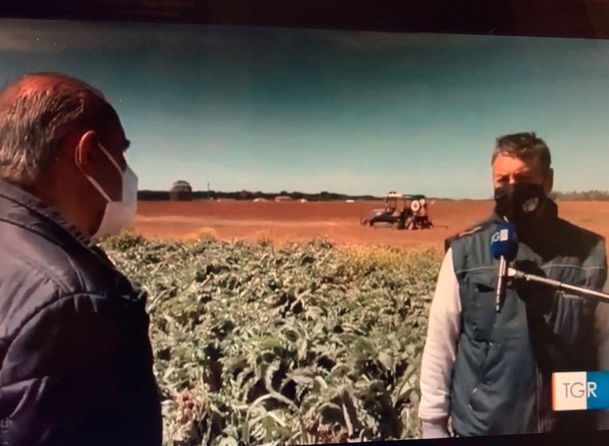 Maltempo, Coldiretti Lazio: gelo danneggia fino al 50% di frutta e verdura. Grave la situazione a Tarquinia e Montalto