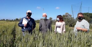 Biodistretto, primi passi all’interno della filiera cerealicola