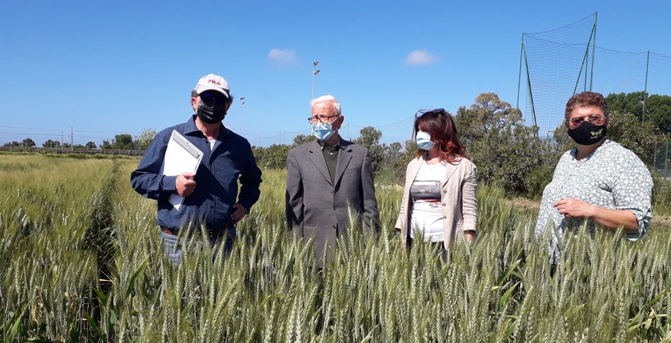 Biodistretto, primi passi all’interno della filiera cerealicola