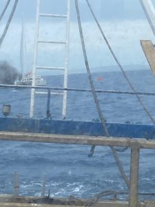 Catamarano in fiamme a largo di Civitavecchia (6)
