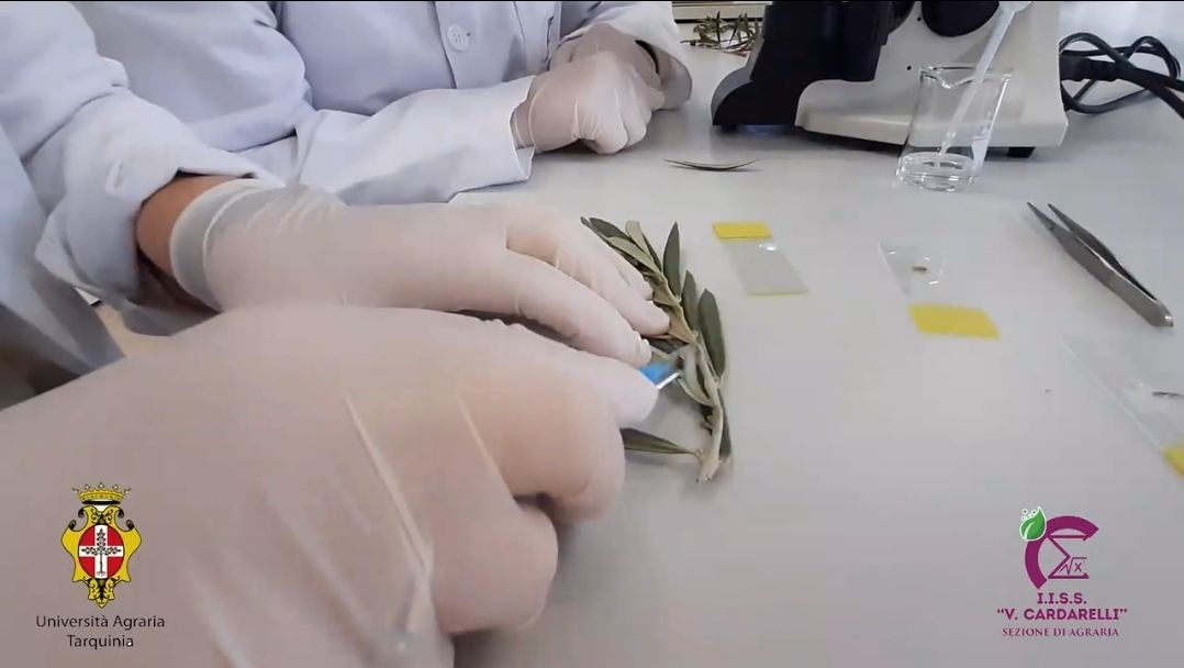 Cardarelli, al via Lezioni di agricoltura con l’Università Agraria