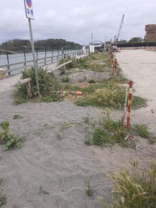 Mazzoni: “La Marina di Montalto abbandonata e distrutta”