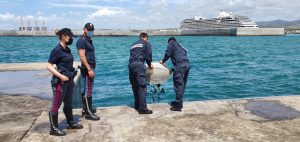 Porto, sequestrati 135 kg di mitili pescati illegalmente