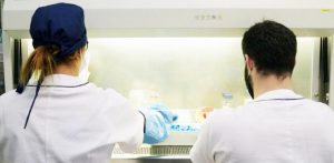 Parkinson, più rischio con varianti genetiche