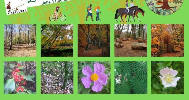 Il cammino dell’Allume:
 


pronto il progetto sul Faggeto