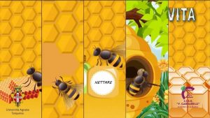 Alla scoperta delle api con l’Iiss Cardarelli