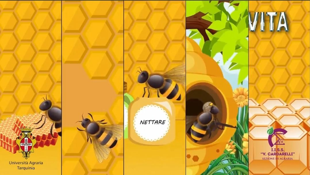 Alla scoperta delle api con l’Iiss Cardarelli