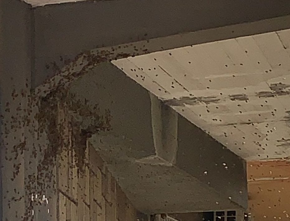 Civita Castellana, rissa in piazza finisce con la denuncia dei carabinieri