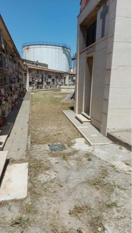 Cimitero monumentale assediato dal degrado