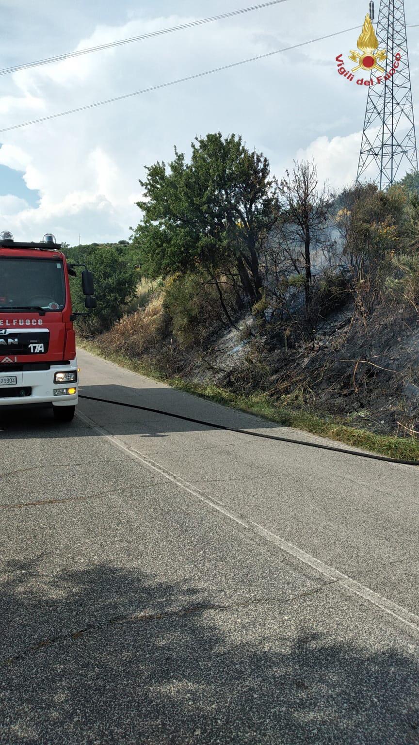 Tre ettari di bosco in fiamme: intervento dei Vigili del fuoco ad Allumiere