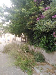 Via Santa Barbara, tra incuria e degrado: ignorati dal Pincio