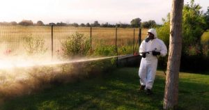 Civitavecchia, nella notte tra lunedì e martedi scatta la disinfestazione antizanzare